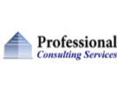 Professional Consultiing