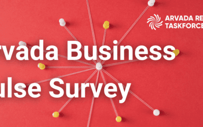 Business Challenges Survey Results | November 2021